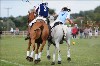UKPA  NC Sat_1339